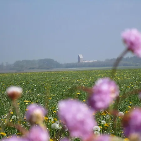Lägenhet Haus Wolltoft Haus Wolltoft - Fewo 05 Sternschnuppe *